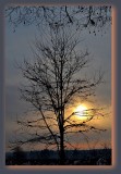 Morning dsc_0073zpb