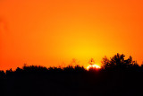 Sunrise  06n0v 20125 DSC_0444xgpb
