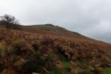 Dodd Crag, on Sale Fell