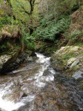 The top of Spout Force