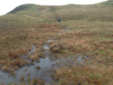 Boggy patch on the ridge