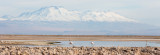 Salar de Atacama, Chile