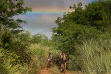 166A6463-Edit.jpg