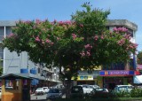 City street, Kota Kinabalu