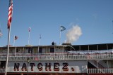 The Steamboat Natchez
