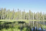 Siesta Lake-070314-Tioga Road, Yosemite National Park-#0055.jpg