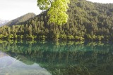 Mirror Lake-051315-Jiuzhaigou Nature Reserve, China-#0008.jpg