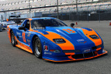 TA Ferrea Racing Components/Chevrolet Corvette Daniel Urrutia 