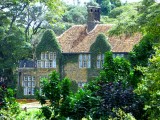 Giraffe Manor - someday we will stay there!