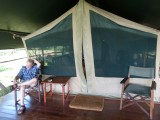 All tents face a central 'marsh' where the hippo roam