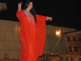 A lovely lady danced beautifully after supper