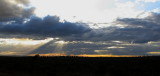 Rays over the African Veldt