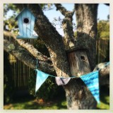 birdies blue house