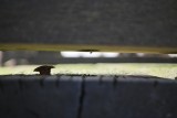 35mm f1.8