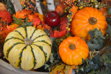 20131006 - Plimouth Platation with LS Spanish Exchange - 038.jpg