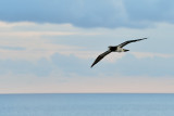 20131119 - St Kitts - 164.jpg
