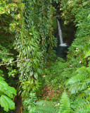 20131120 - Dominica - 016.jpg