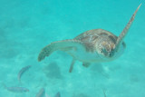 20131121 - Barbados - 025.jpg