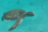 20131121 - Barbados - 033.jpg