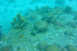 20131121 - Barbados - 087.jpg
