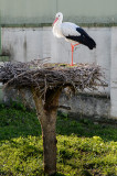 20140924 - Mohacs - 0157.jpg