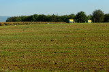 20140924 - Pecs - 0027.jpg