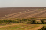 20140928 - Vindin - 0071.jpg