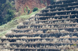 20160212 - Azamara Journey (Panama Cannel) - 477.jpg