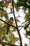 20160217 - Costa Rica (Sirena Tour) - 068.jpg