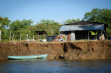 20160218 - Costa Rica (Mangrove Tour) - 230.jpg