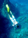 20160219 - Costa Rica (Cano Island Tour) - 117.jpg