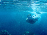 20160219 - Costa Rica (Cano Island Tour) - 132.jpg