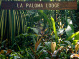 20160219 - Costa Rica (Cano Island Tour) - 248.jpg
