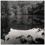 Shing Mun Reservoir - 城門水塘