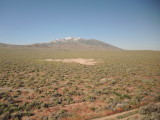 View from the Train