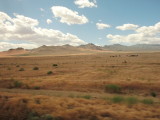 View from the Train