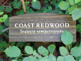 DSCN1101.JPG