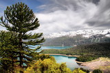 Lago Conguillio y Sierra Nevada