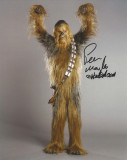 Chewbacca (Peter Mayhew)