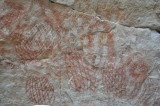 DSC_0204.JPG