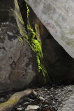 DSC_0274.JPG