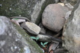 DSC_0377.JPG
