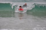 DSC_0134.jpg