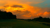 Sunset in the field July 25 2016-four-web.jpg