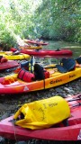 Kayak Wailua Adventure Kayaks