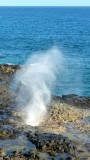 Spouting Horn