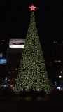 Union Square Christmas Tree