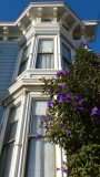 Pacific Heights Victorian