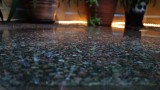 Garden Patio After the Rain