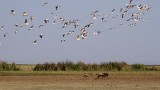 Lake Manyara National Park